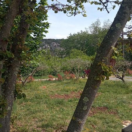 Les Cypres Villa Lagorce  Bagian luar foto
